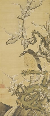 Ito Jakuchu : Hawk on a blossoming plum branch