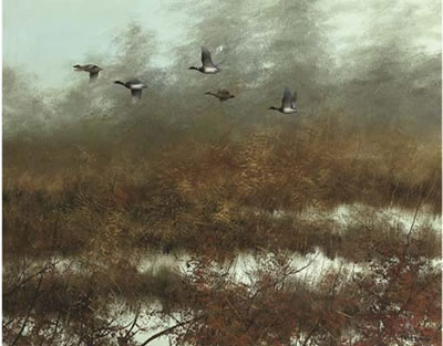 Pieter Daniel Dik : A flock of ducks