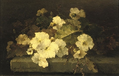 Margaretha Roosenboom : Still life with primroses on a stone ledge