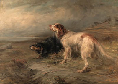 Robert Alexander : The setters, Gordon and Laverock