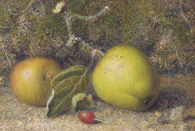 William Hough : Still-life of apples on a mossy bank with a rosehip; Plums on a mossy bank with a rosehip; and A mushroom on a mossy bank with a rosehip (3)