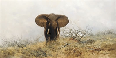 David (Richard David) Shepherd : Lone bull elephant