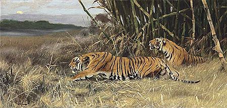 Friedrich Wilhelm Lion Kuhnert : Two Stalking Tigers