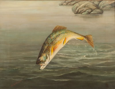 Harry Driscole : Brook Trout