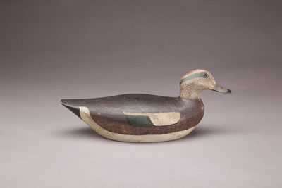 Thomas (Tom) Wilson : Widgeon Drake