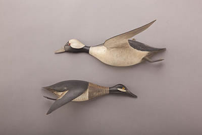 Chauncey Wheeler : Flying Bufflehead Pair