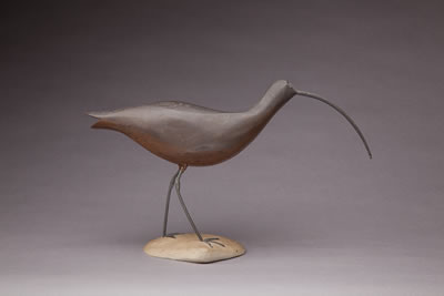 Alfred Gardner : Curlew