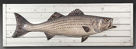 Daniel Bruffee : Striped Bass Plaque