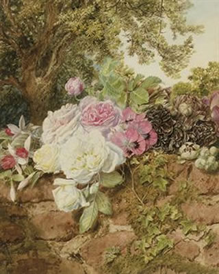 Mary Elizabeth Duffield : Roses, fuschia, poppies and hollyhocks on a brick wall