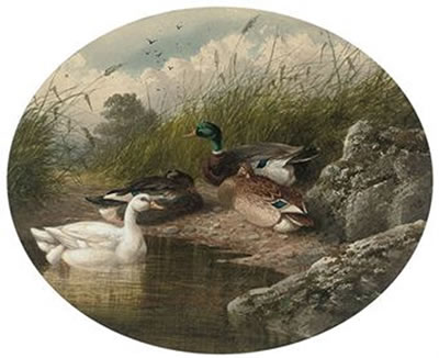 Charles Edward Brittan : DUCKS ON A RIVER BANK