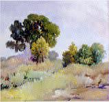 Berla Emeree : Upper Valley Trees