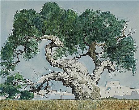 William Curtis Elliott : Old Twisted Olive Tree, c. 1960