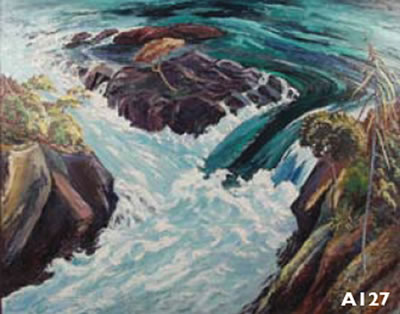 Reg J Waghorn : Aratiatia Rapids