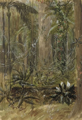 Charles William Hamilton Dicker : Clearing in a Palm Forest (2)