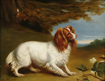 Robert Richard Scanlan : King Charles Spaniel in a landscape