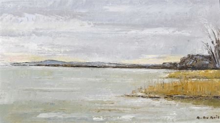 Marianne Dubois : Lac de Morat.