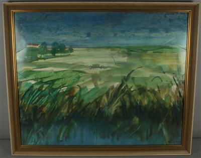 Pepo Grabner : Weite Landschaft