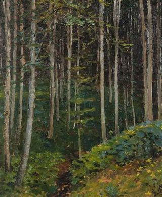 Rudolf Vejrych : Inside a Forest