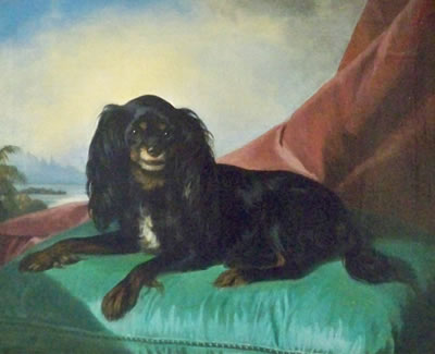 Ferdinand Krumholz : King Charles Spaniel, 1850