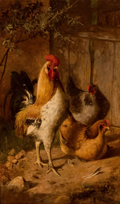 Federico Jimenez Y Fernandez : Gallinero