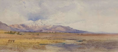 William Matthew Hodgkins : Near Peel Forest, South Canterbury