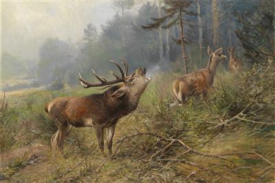 Willi Lorenz : Bellowing Stag