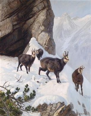 Carl Ritter von Dombrowski : Chamois in the High Mountains