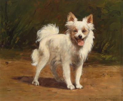 Gabrielle Rainer (Rajner) Istvanffy : The Pomeranian