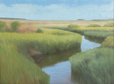 Steve Allrich : Cape Cod Marsh Scene