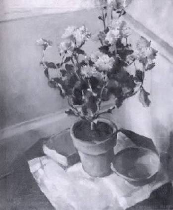 Charlotte L Blass : Floral Still Life