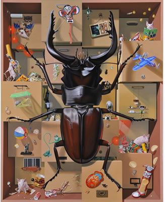 Takumi Kama : DRAWER OF STAG BEETLE