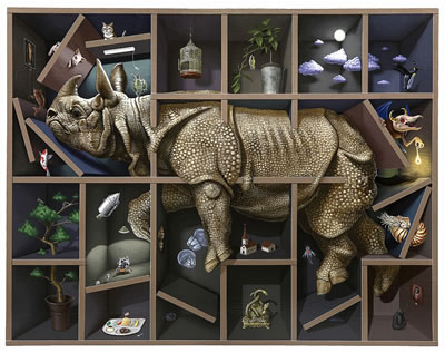 Takumi Kama : RHINOCEROS IN THE SHELF