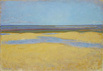 Hans Potthof : Camargue