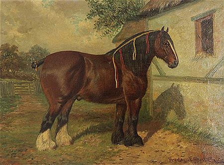 Frederick Albert Clark : Portrait of 2 year old stallion Bearwardcote Blaze, Winner of Champion Prize Shire Horse Show 1901