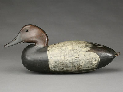 John English : Extremely rare and important canvasback drake