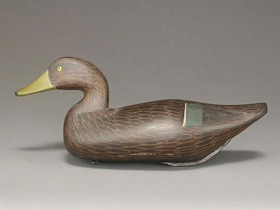 Robert McGaw : Blackduck