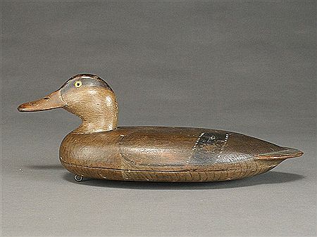 Fred Allen : Exceptional and very rare mallard hen