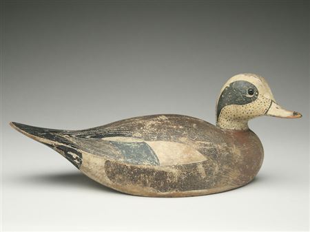 Lloyd Aaron Sterling : Rare widgeon drake