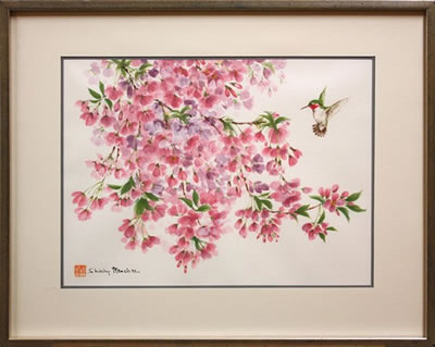 Shirley Rencher : Hummingbird and Cherry Blossoms