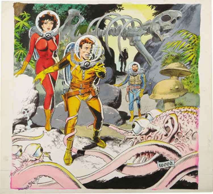 Wally Wood : From Auction Records