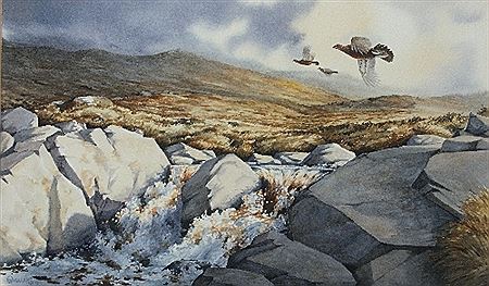 Owen Williams : 'Grouse'