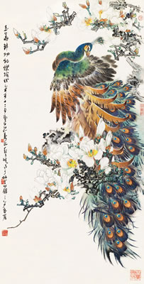 Naiguang Zheng : PEACOCK