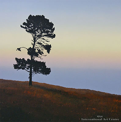 Peter J Wallers : Lone Pine, Manukau Heads