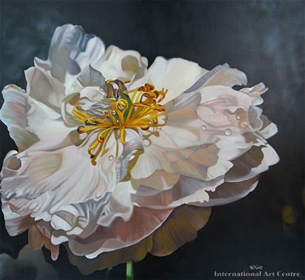 Pamela Wolfe : Over Blown Peony