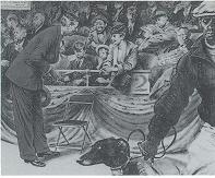 Floyd MacMillan Davis : Crowd scene at a dog show