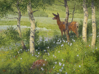 Ralph Oberg : Flora and Fauna, 2012