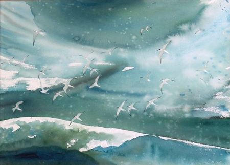 Chris Deardon : SEAGULLS