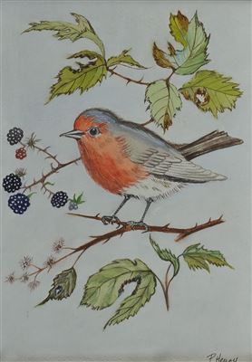 Patricia Henry : 'RED ROBIN'