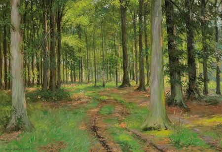 Hans Josef Becker-Leber : Waldweg