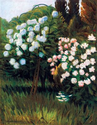 Jeno Maticska : Garden in Nagybánya (Rose Bushes)